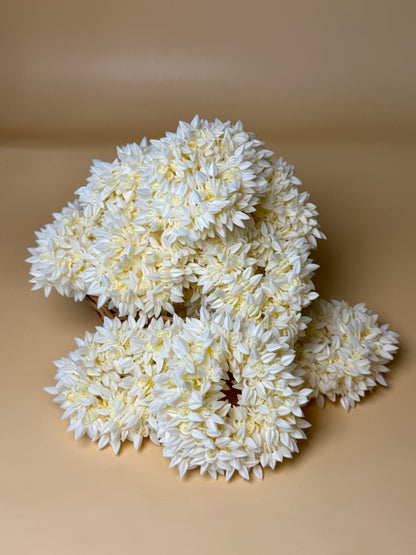 Jasmine Gajra (1 pc)