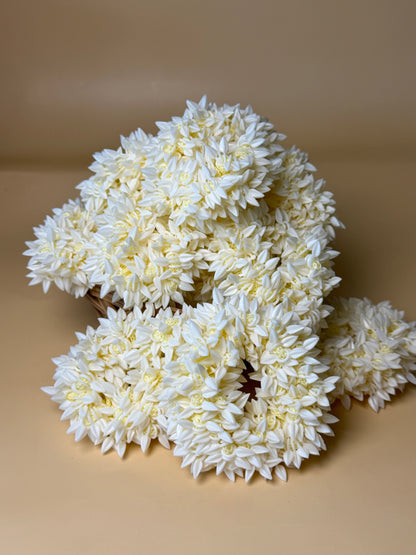 Jasmine Gajra (1 pc)